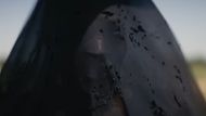 Still from The Woman in the Yard (Image via YouTube/@Universal Pictures)